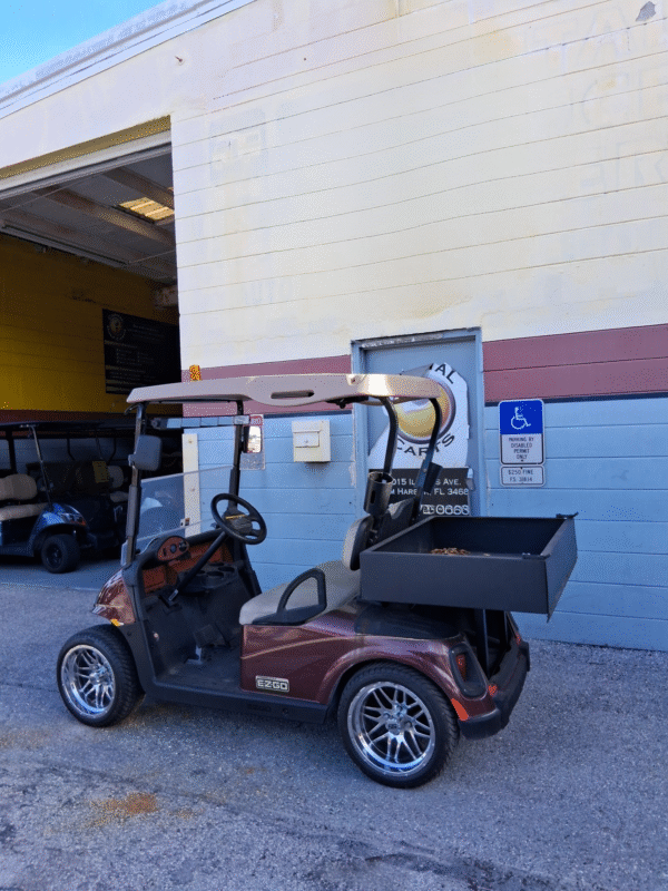 2008 EZGO RXV – 4 Passenger Electric Golf Cart (Used, Brown)