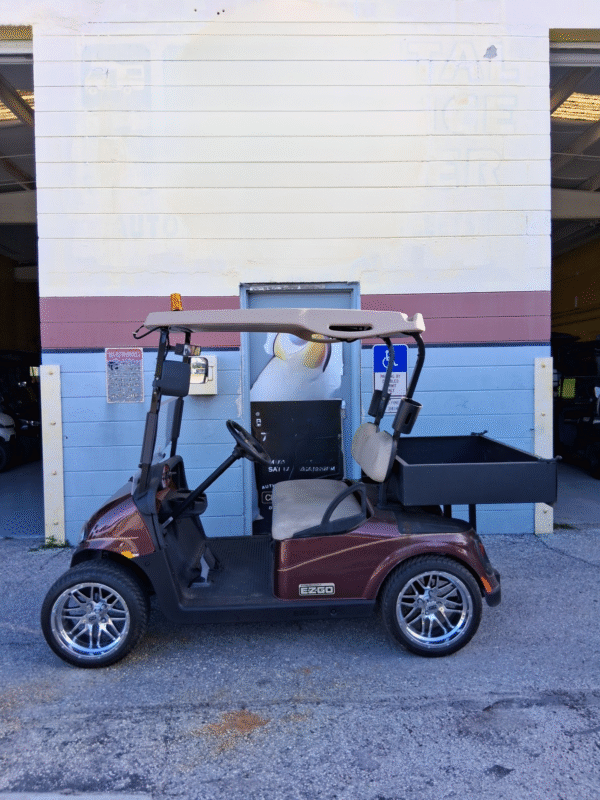 2008 EZGO RXV – 4 Passenger Electric Golf Cart (Used, Brown)