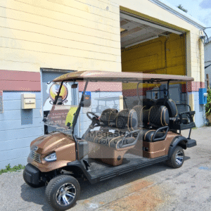 2025 Alset GM – 6 Passenger Lithium Golf Cart (Champagne Metallic)