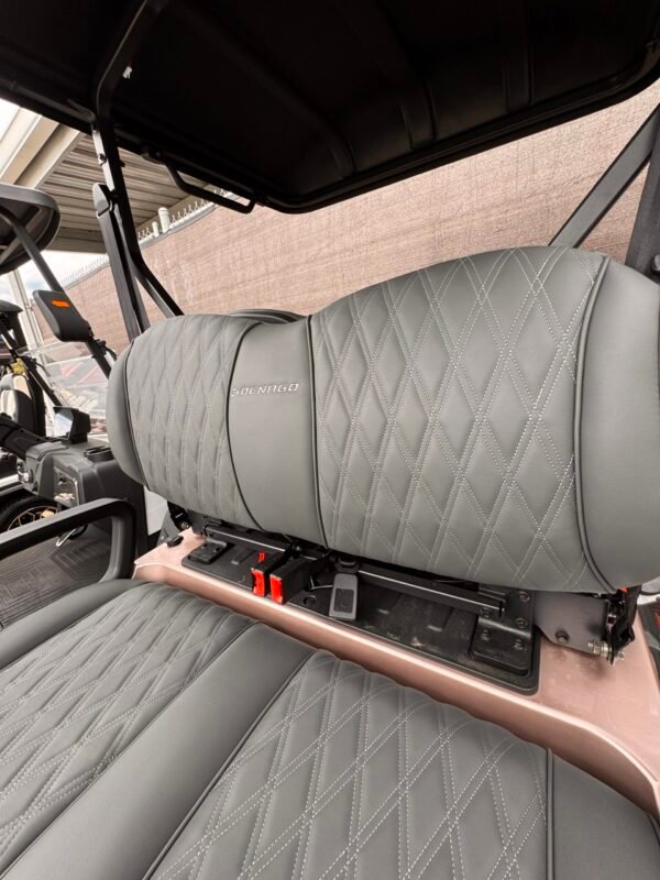 2025 DenagoEV Nomad XL – 6 Passenger Lithium Golf Cart (Champagne Metallic)